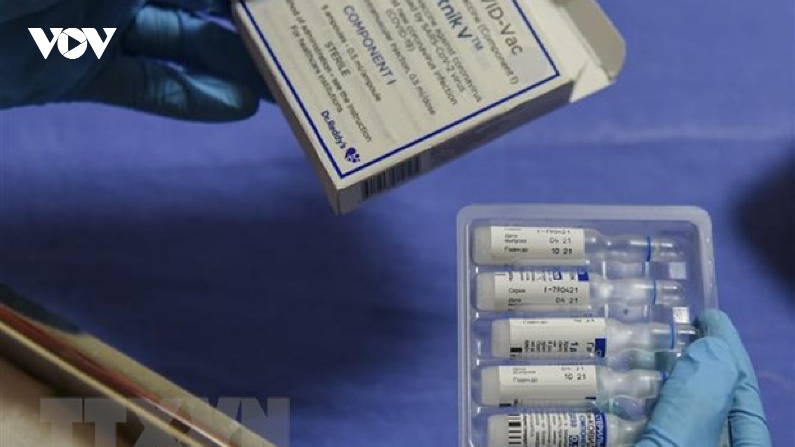 Sputnik V vaccine production factory to be built in Vietnam in one year