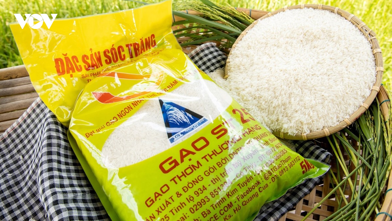 Hoàn thiện hồ sơ bảo hộ thương hiệu gạo ST24, ST25