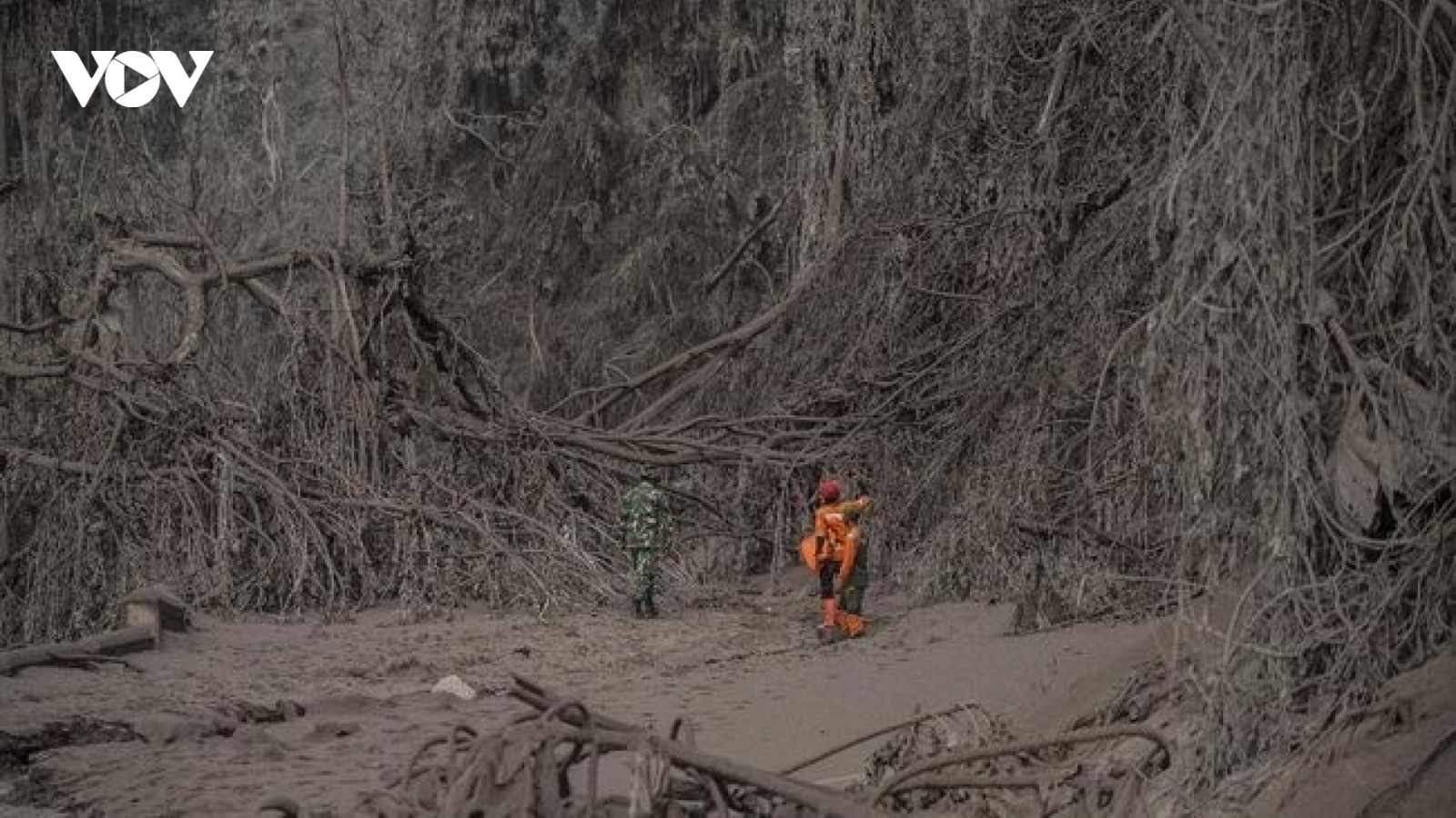 Gần 50 người chết, Indonesia tăng thời gian ứng phó thảm họa núi lửa Semeru