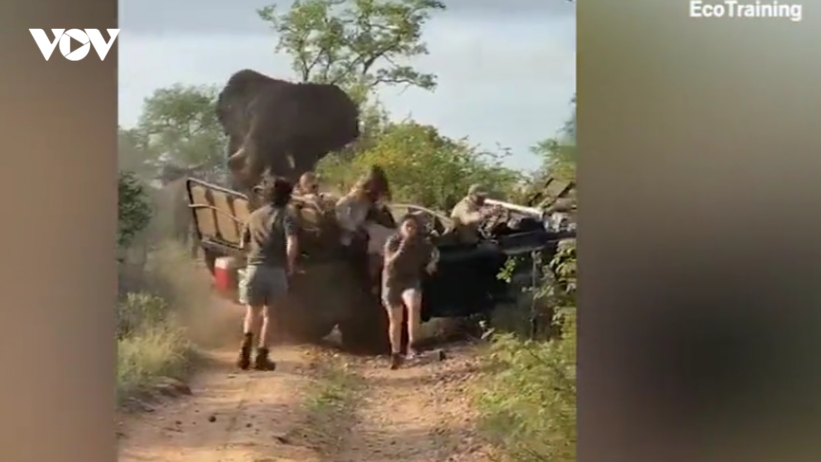 Kinh hãi khoảnh khắc voi động dục lao tới húc nghiêng xe jeep