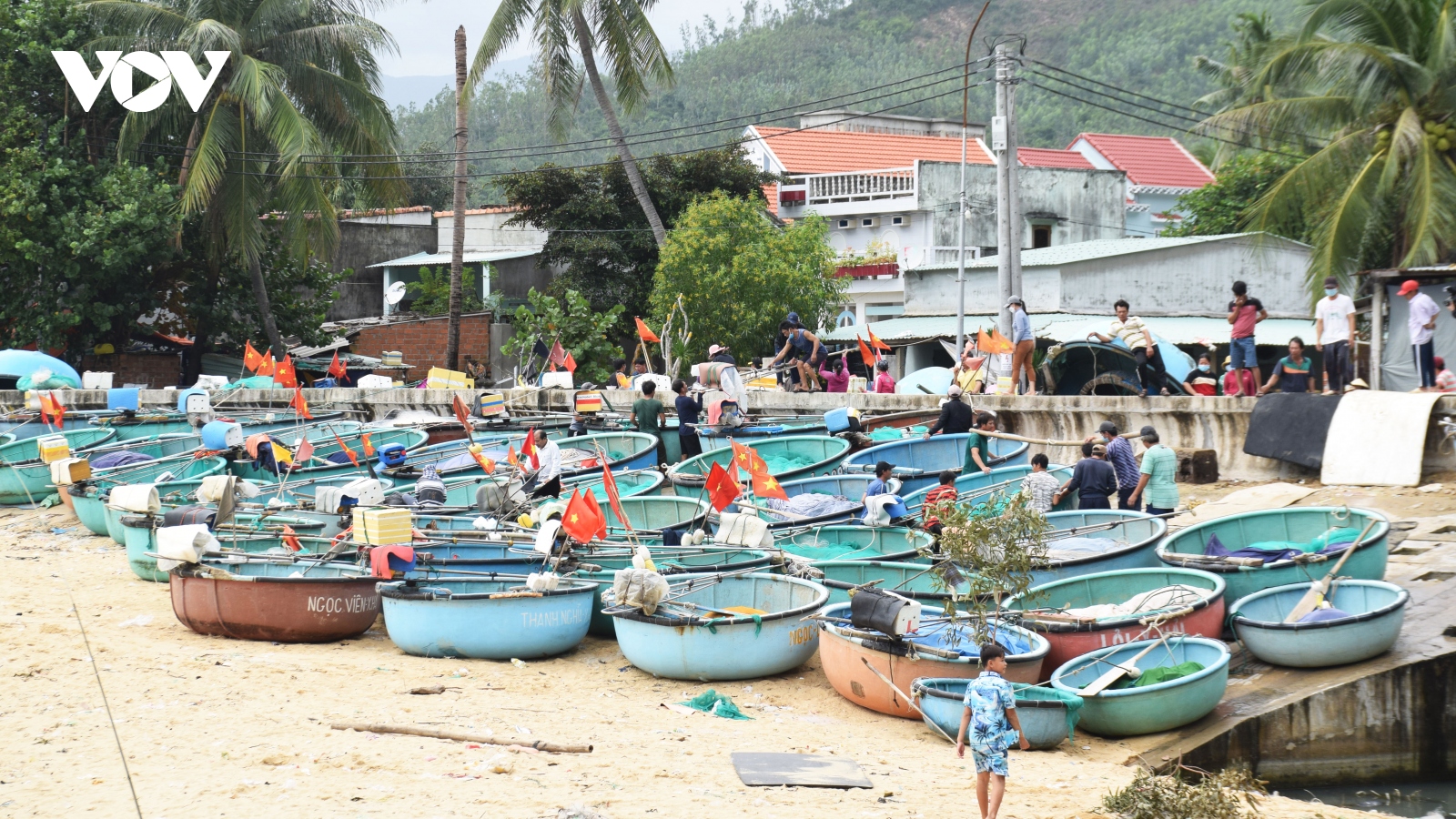 Ngư dân Phú Yên hối hả đưa thuyền thúng lên bờ tránh bão số 9