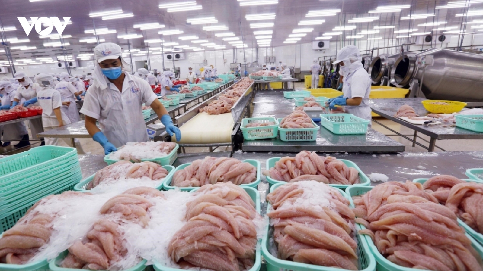Tăng trưởng xuất nhập khẩu “ấn tượng” sau 3 năm Hiệp định CPTPP có hiệu lực