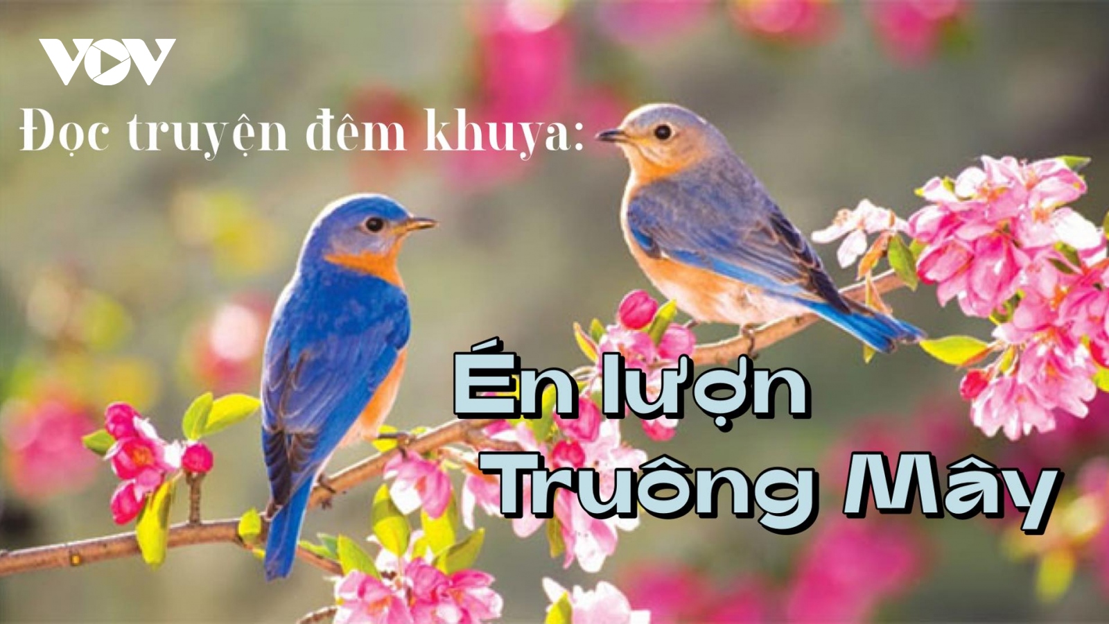Truyện ngắn "Én lượn Truông Mây" - Mùa xuân tình yêu