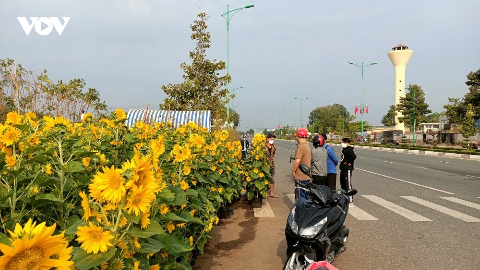 Thị trường hoa Tết: Nơi nhộn nhịp, nơi ế ẩm