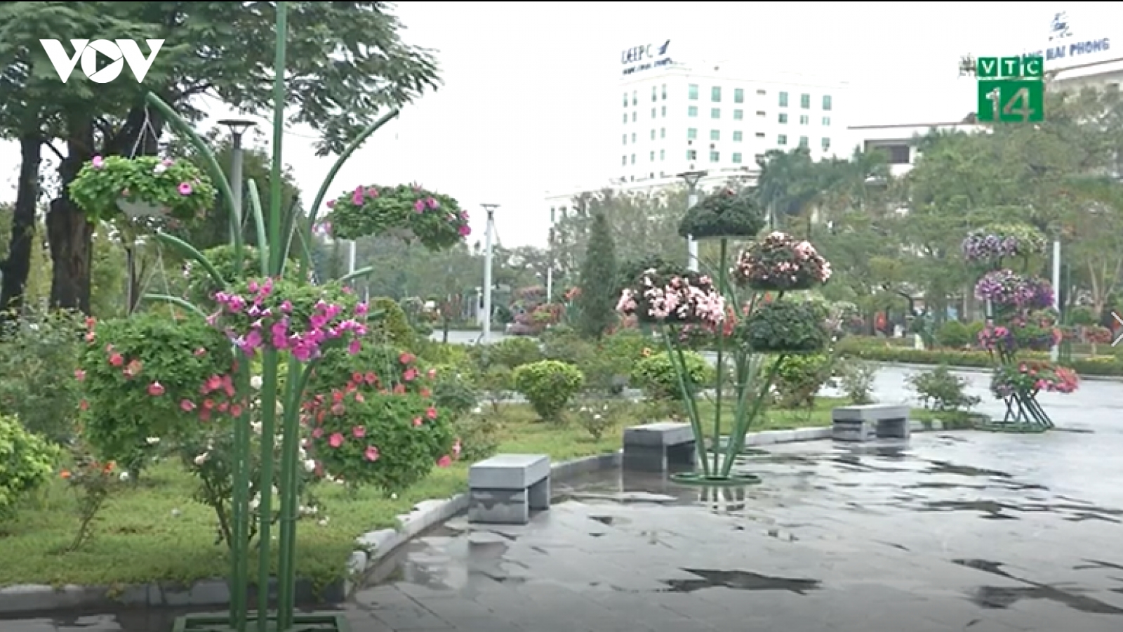 Những người làm đẹp cho đường phố “đón” Tết