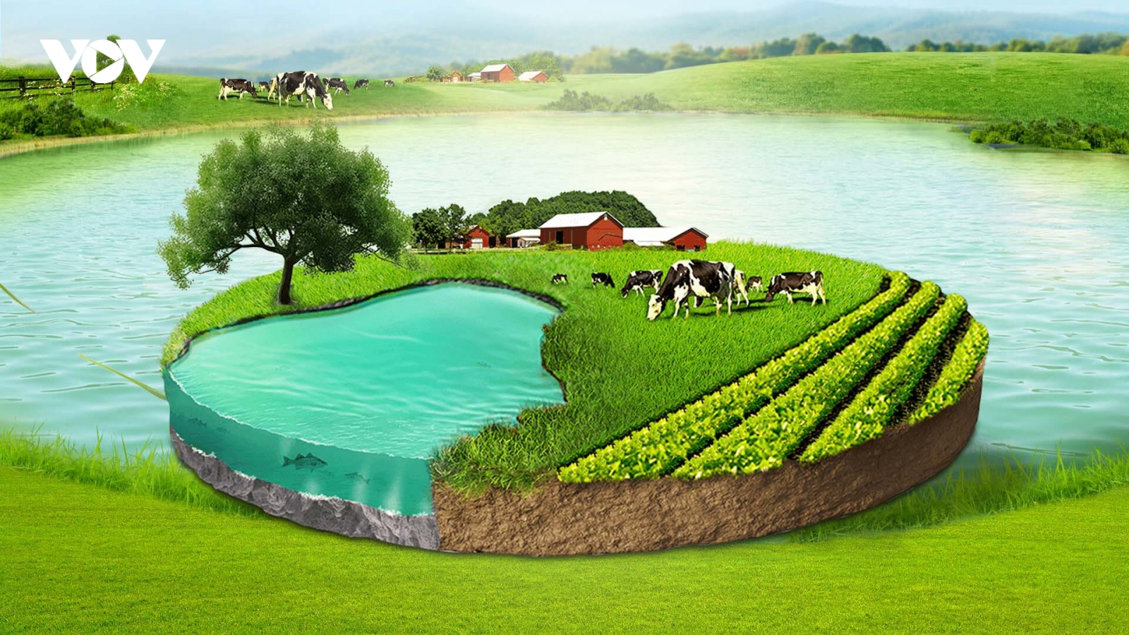 Hệ thống 'resort' bò sữa triệu USD của Vinamilk