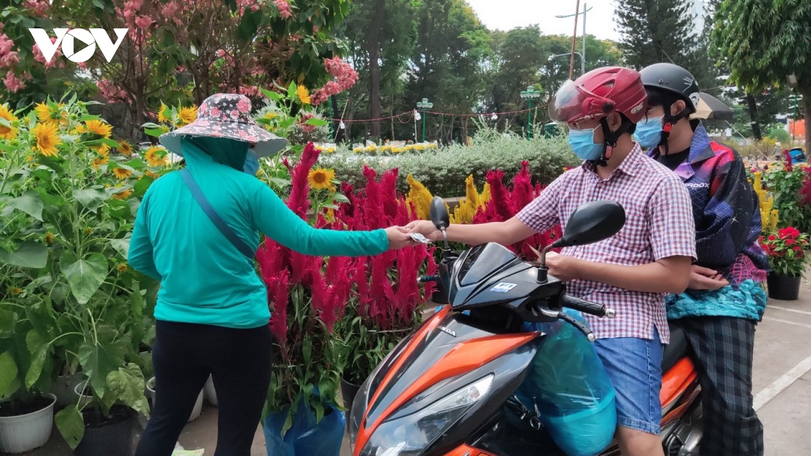 Hoa tươi, cây cảnh ở TP.HCM đắt khách ngày cận Tết