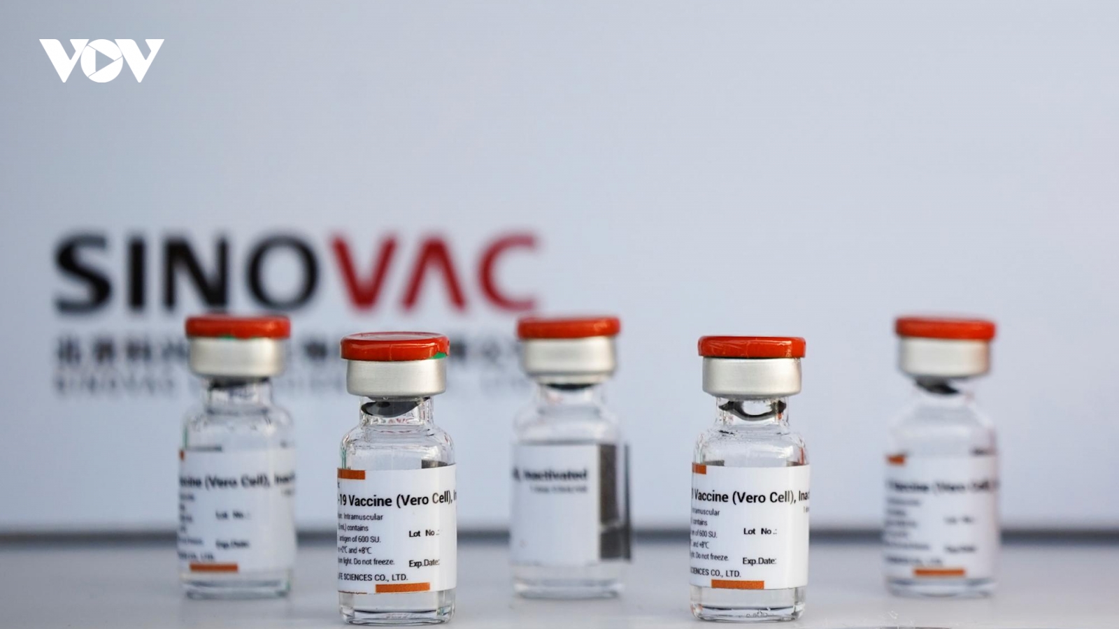 Thái Lan xem xét tiêm vaccine Sinovac cho trẻ từ 3 tuổi trở lên
