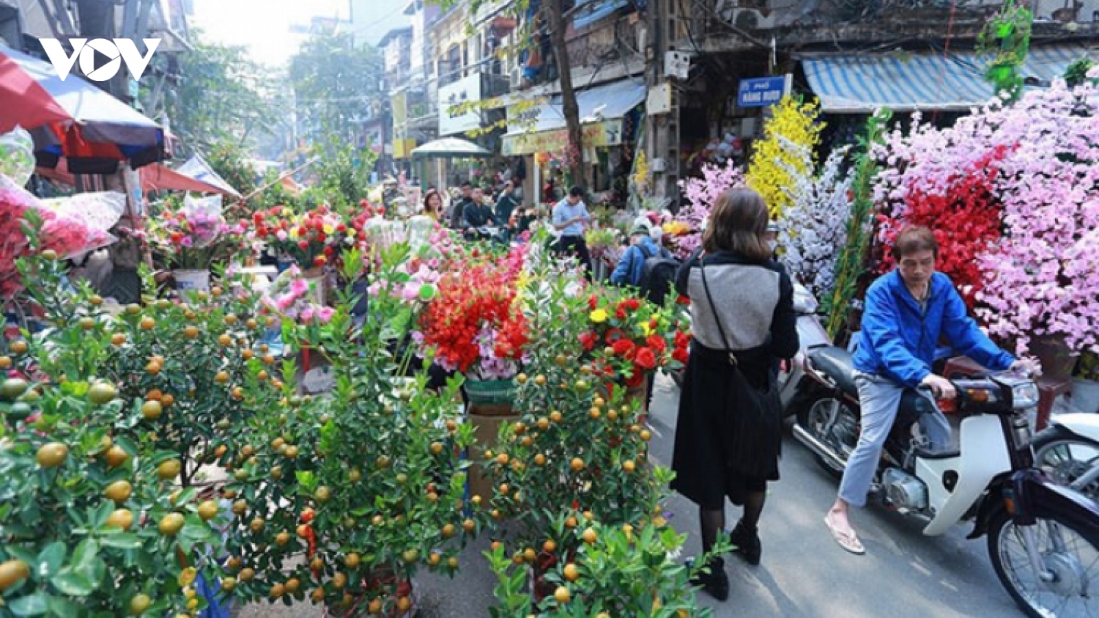 Phương án phân luồng giao thông phục vụ chợ hoa xuân Tết Nguyên Đán tại Hà Nội