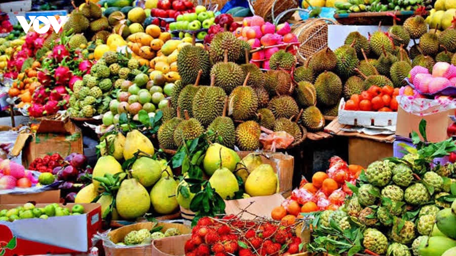 Trung Quốc cho phép thông quan tạm thời trái cây Thái Lan từ ngày 4/1