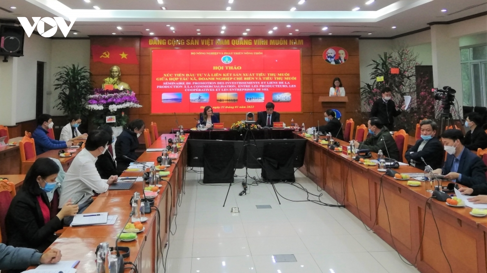Phát triển ngành muối phải theo tín hiệu thị trường