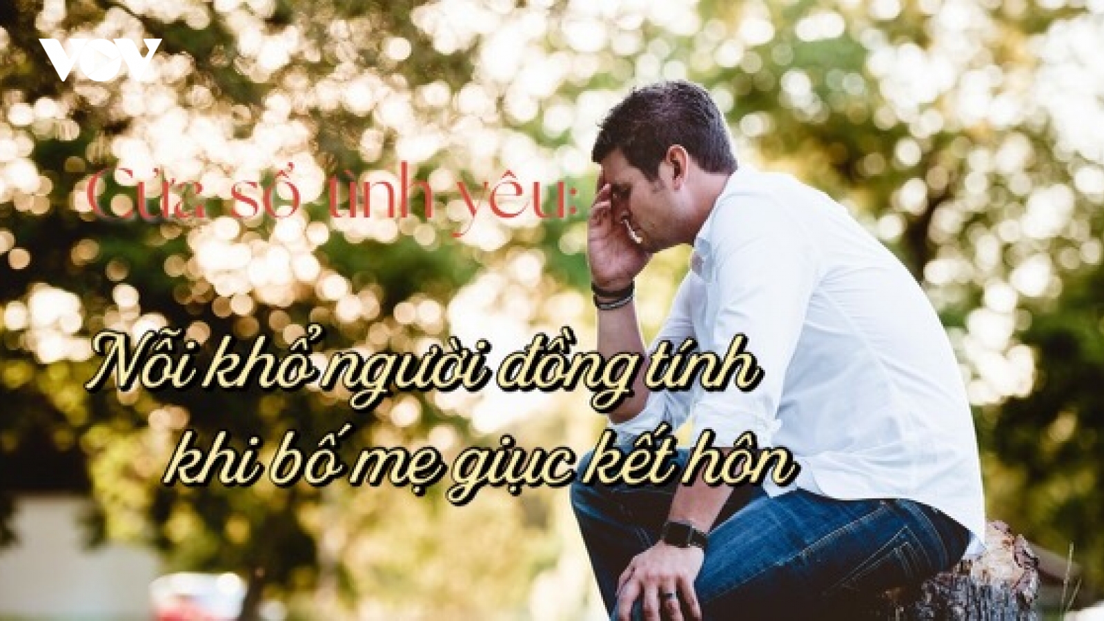 Nỗi khổ người đồng tính khi bố mẹ giục kết hôn