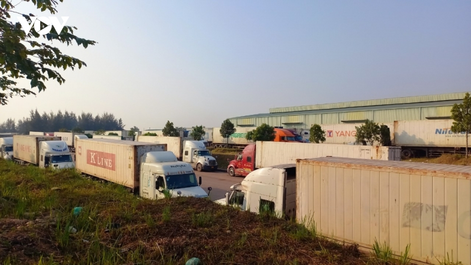 Tạm dừng tiếp nhận mặt hàng hoa quả, thủy sản đông lạnh qua cửa khẩu Móng Cái từ 17/1