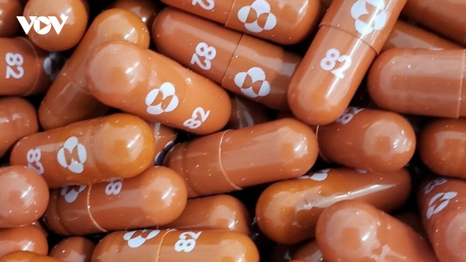 30 nhà sản xuất ký thỏa thuận sản xuất phiên bản giá rẻ Molnupiravir ngừa Covid-19