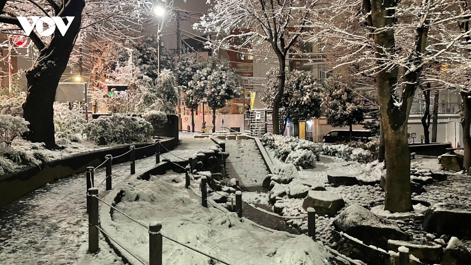 Cảnh tuyết đêm ở Tokyo (Nhật Bản) đẹp như trong cổ tích