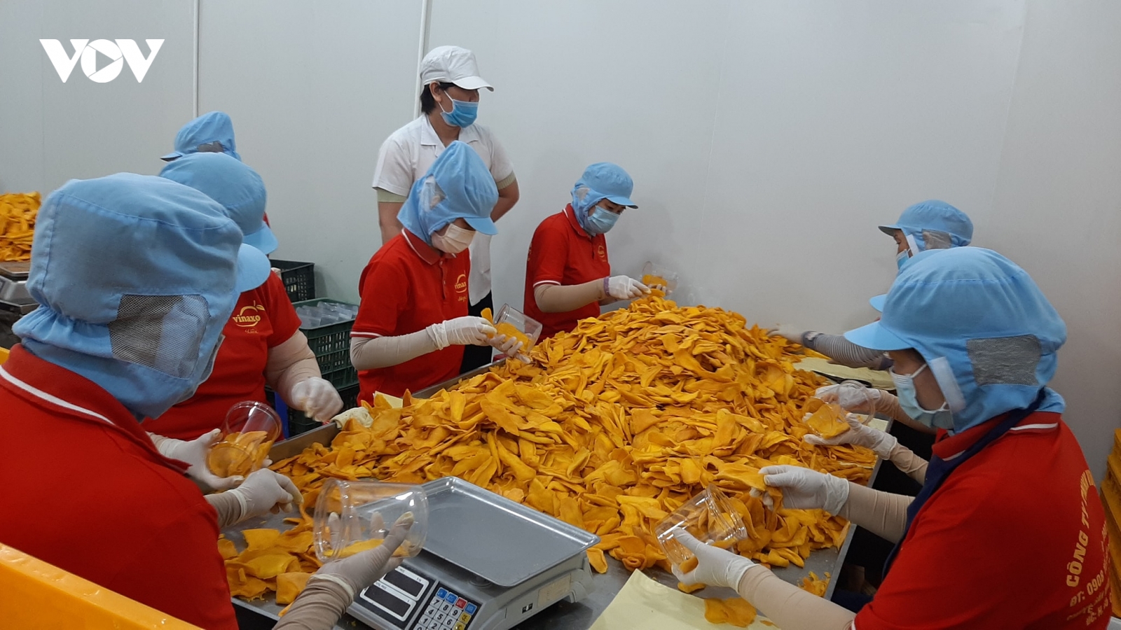 Thu nhập của người lao động ở Tiền Giang cao nhất là 312 triệu đồng/tháng