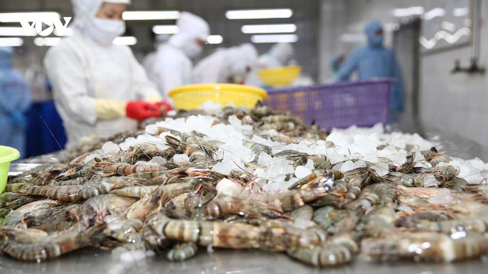 Việt Nam đứng thứ 5 về xuất khẩu tôm sang Mỹ trong năm 2021