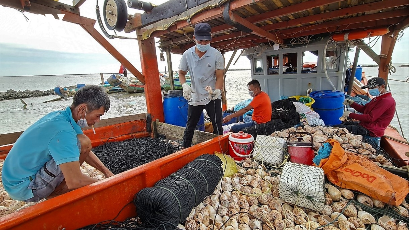 Công an sẽ vào cuộc xác minh, làm rõ vụ mất bẫy ốc ở Cà Mau