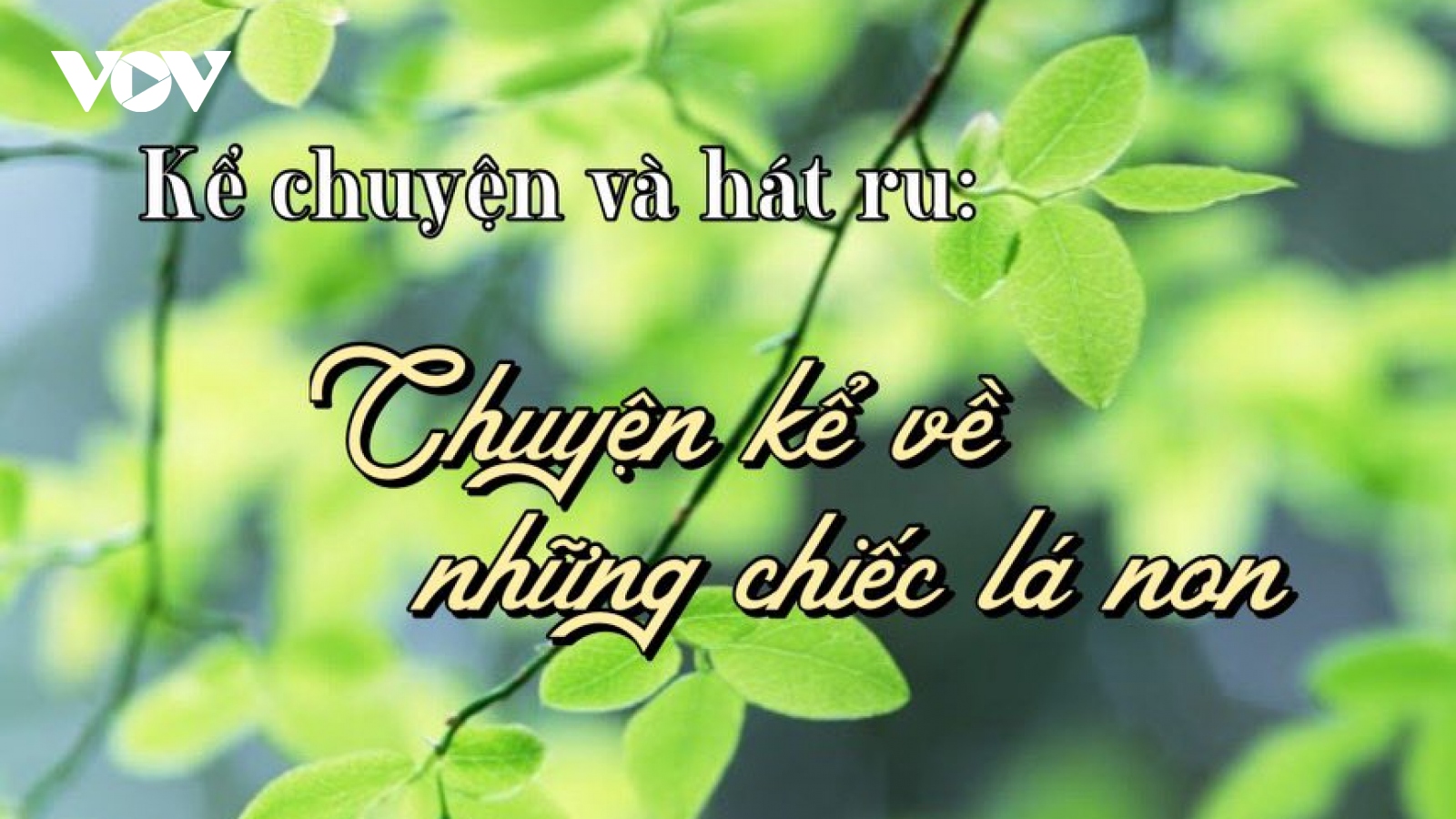 Chuyện kể về những chiếc lá non