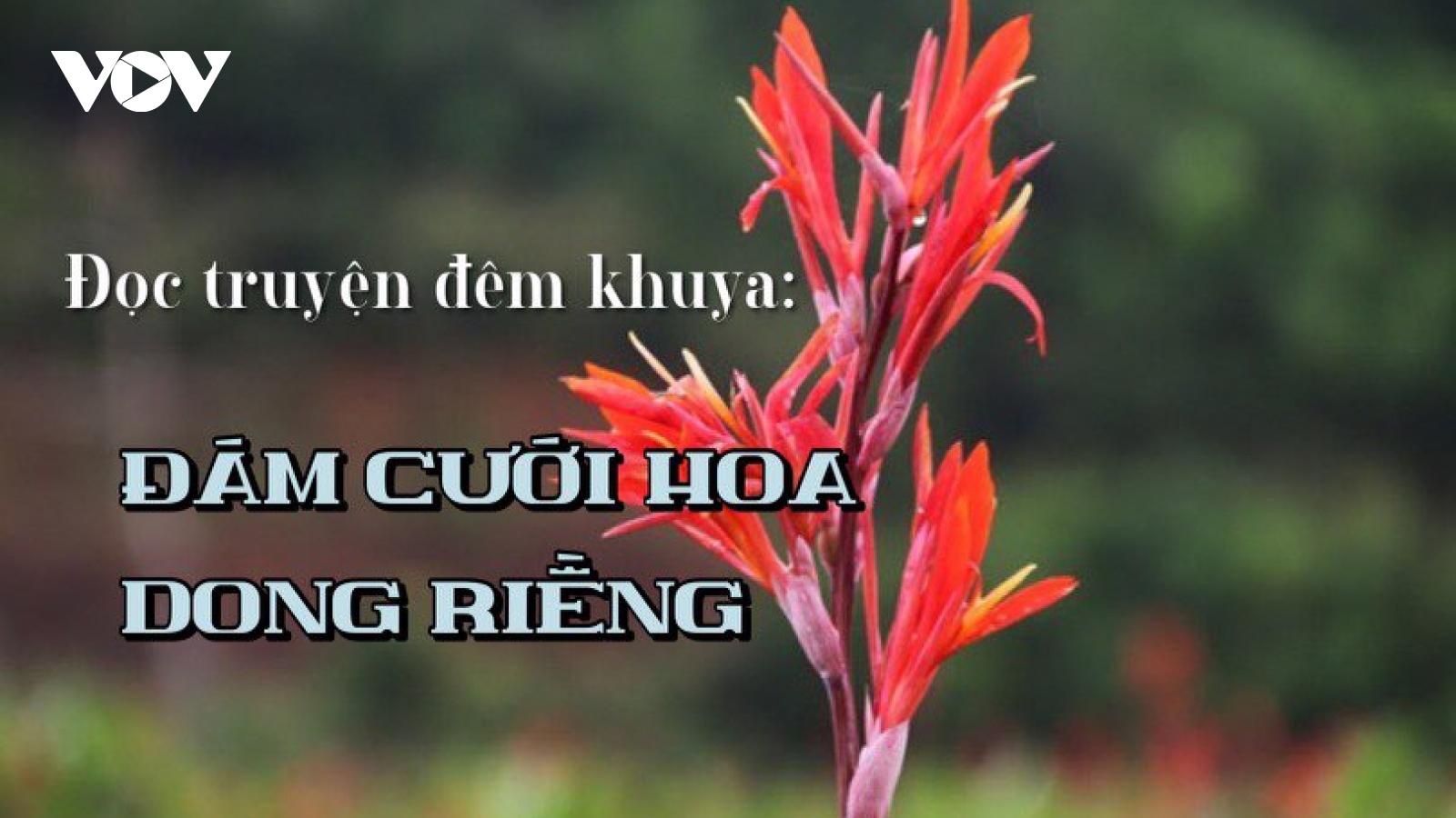 Truyện ngắn “Đám cưới hoa dong riềng” - Tình yêu của lính