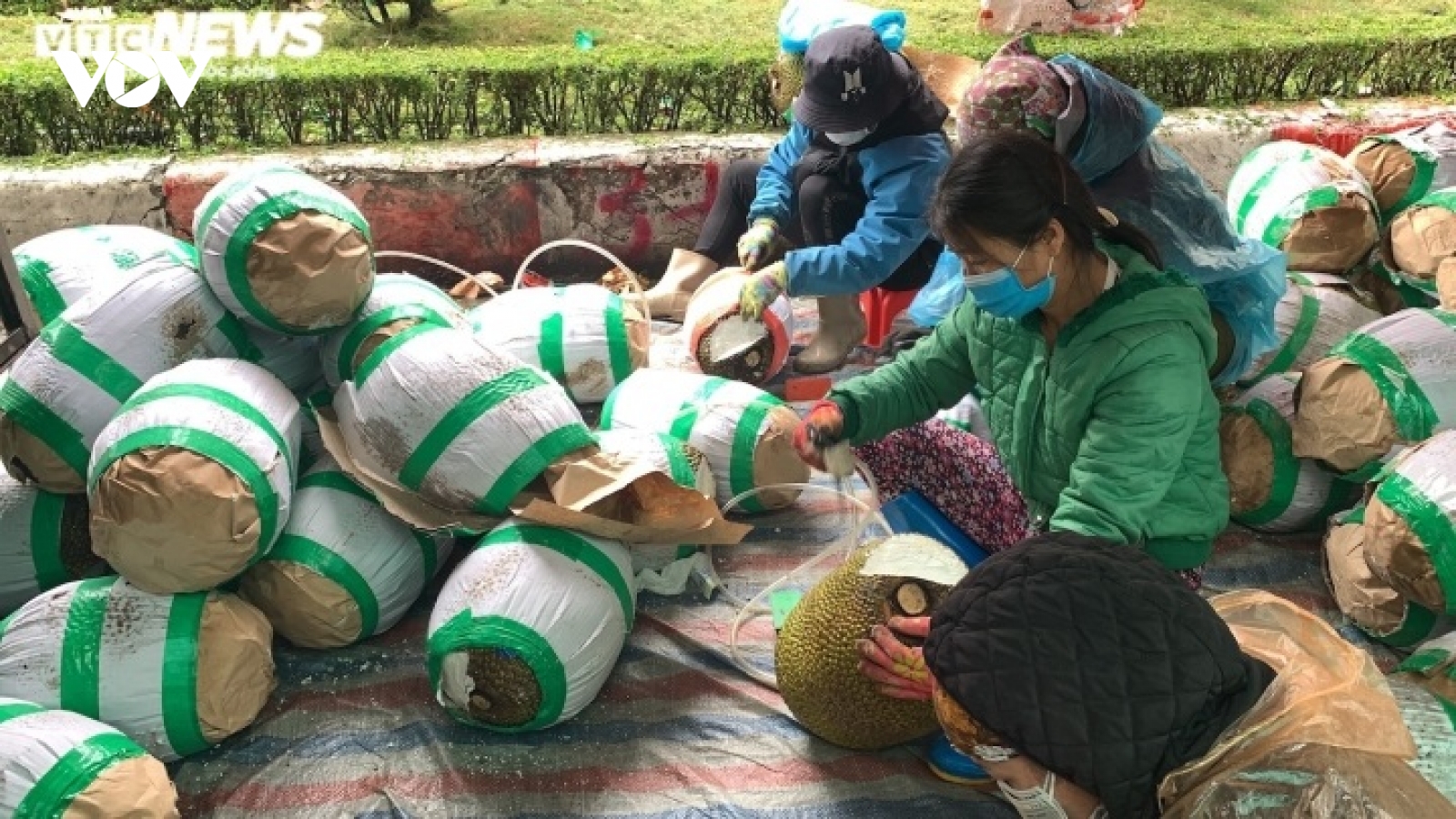 Nghề lạ ở cửa khẩu Lạng Sơn kiếm hàng trăm nghìn mỗi ngày
