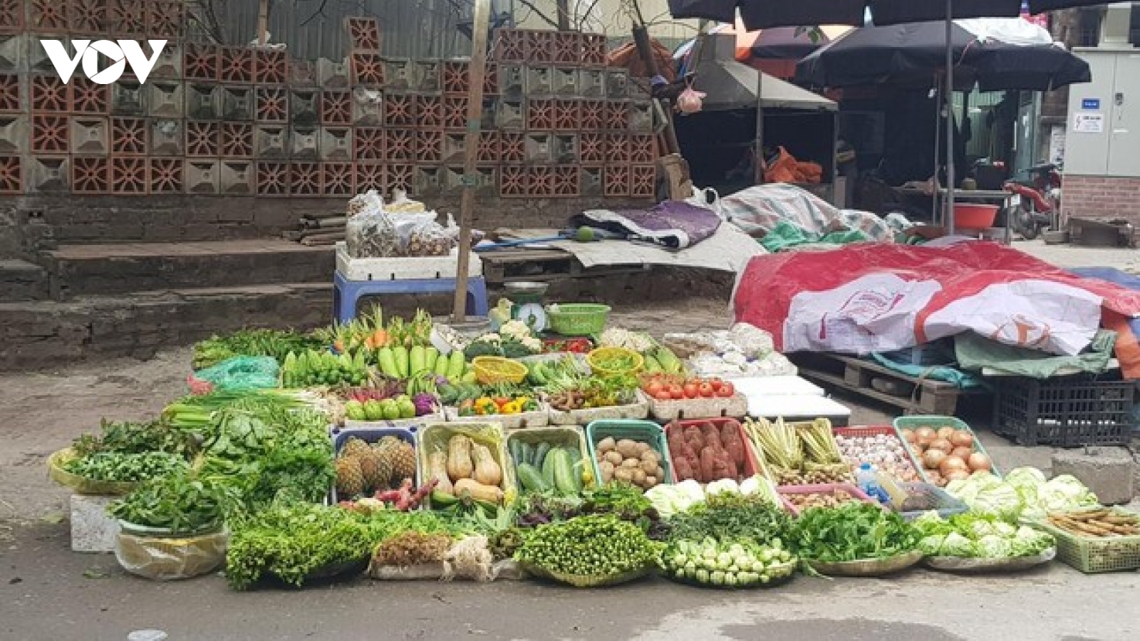 F0 tăng kỷ lục ở Hà Nội, chanh, sả, gừng lá xông cùng “cháy hàng”