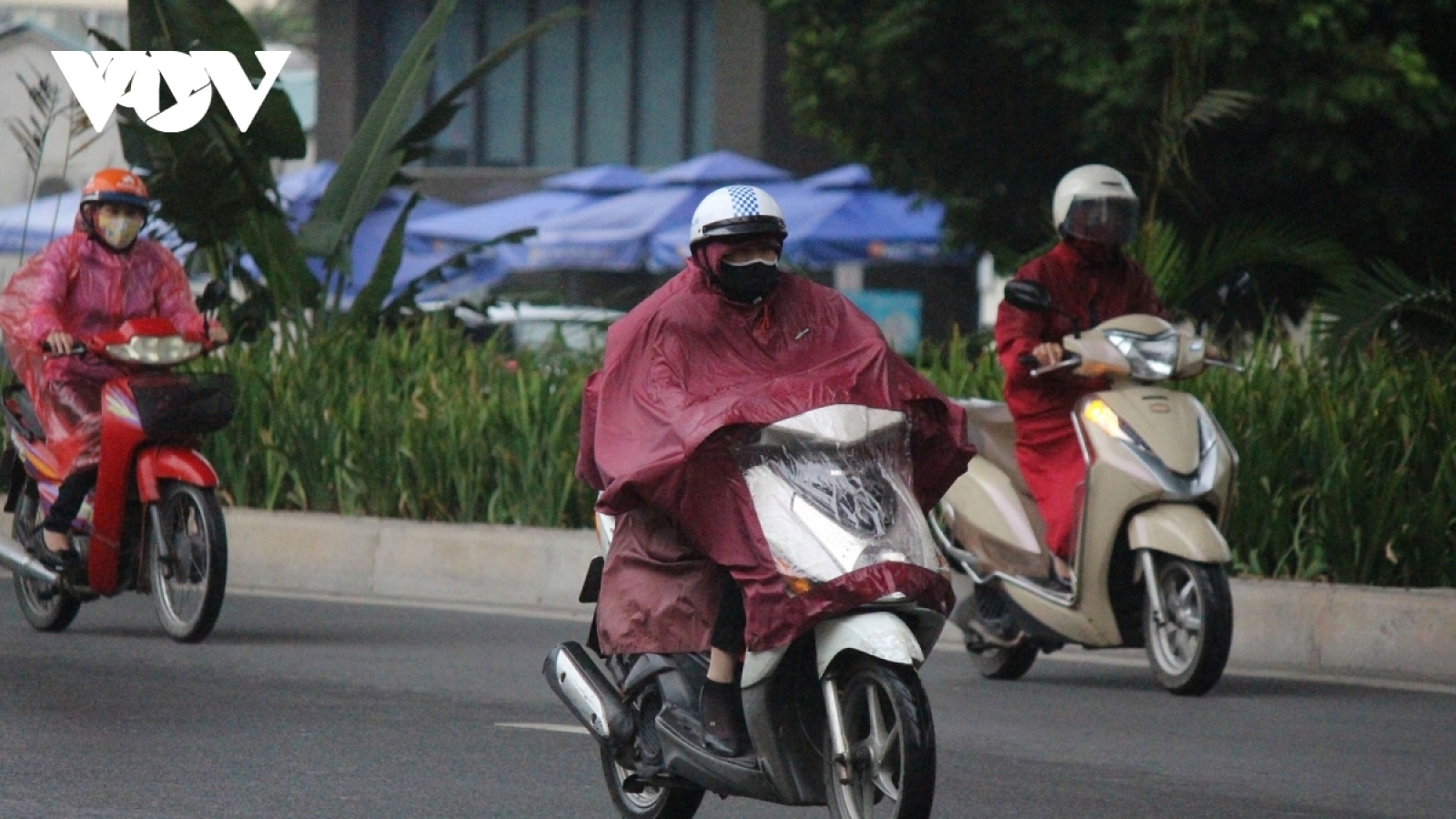 Dự báo thời tiết hôm nay (10/2): Hà Nội mưa phùn, trời rét