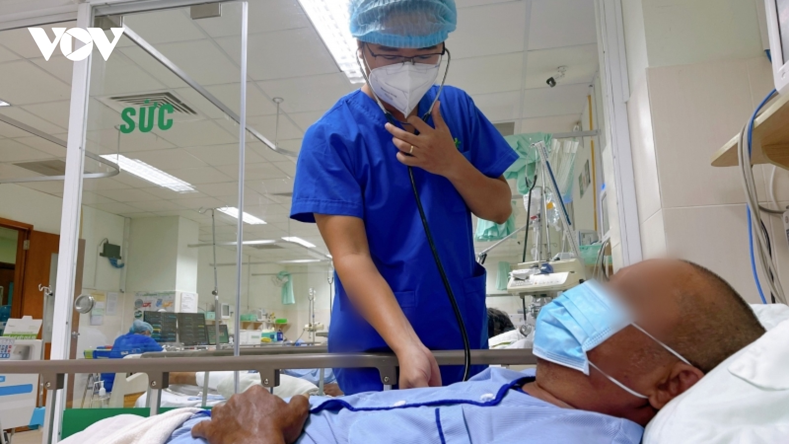 Cấp cứu kịp thời người đàn ông bị hàng trăm con ong đốt khi thăm vườn