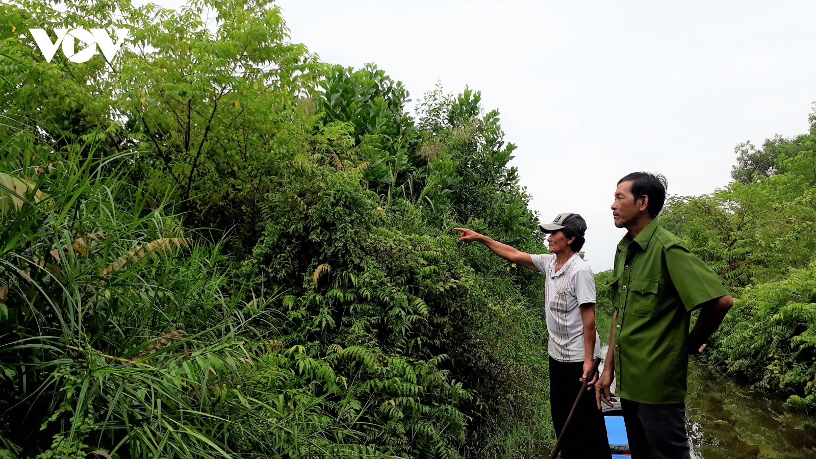 Cà Mau còn những vụ khiếu nại về đất rừng cần được giải quyết