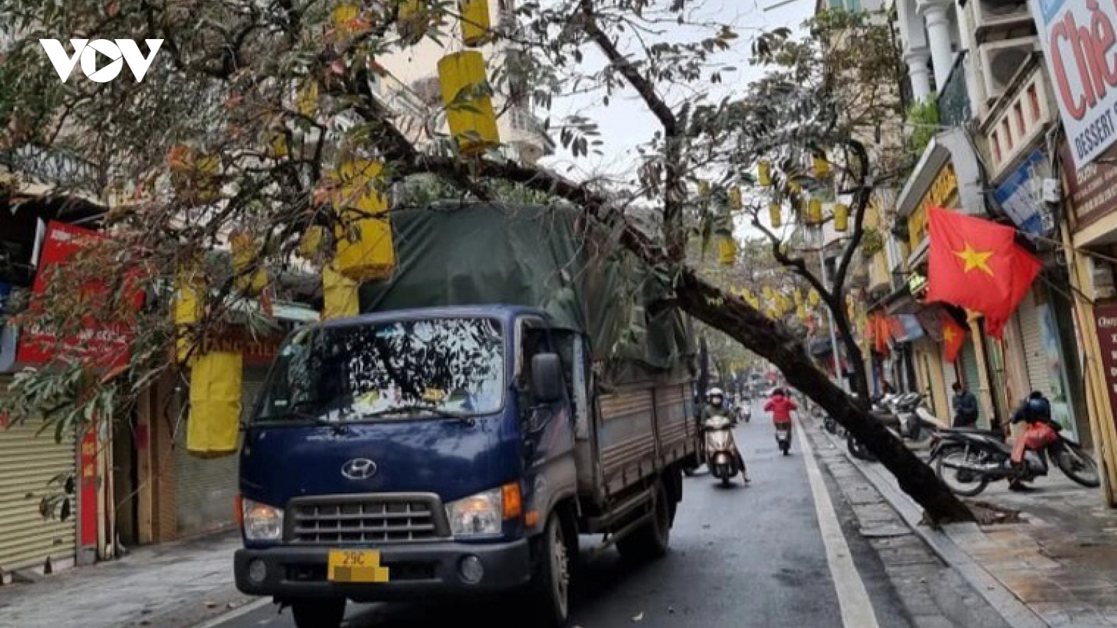 Cây xanh trên phố cổ Hà Nội bật gốc đè trúng xe tải