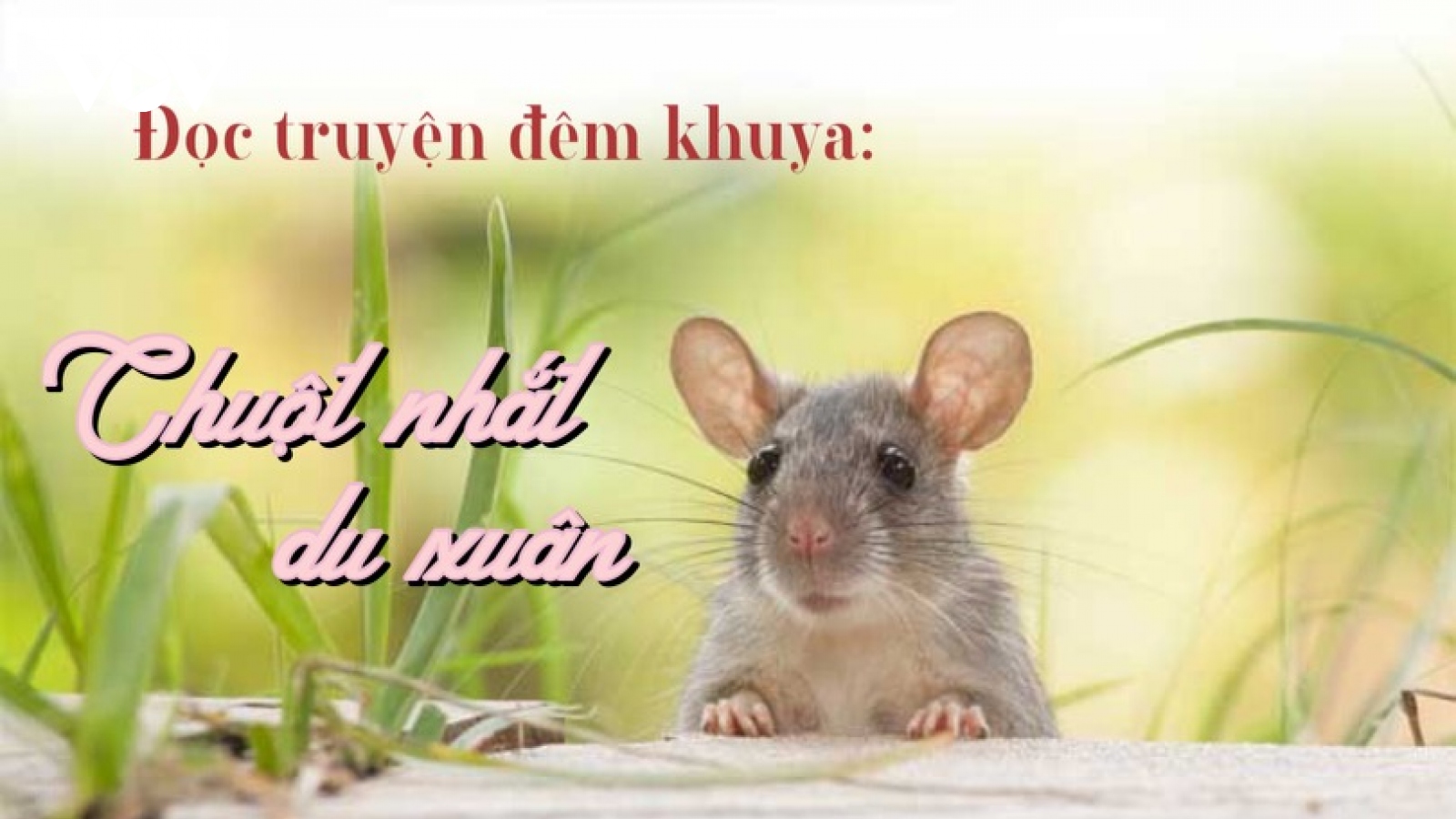 Truyện "Chuột nhắt mùa xuân"