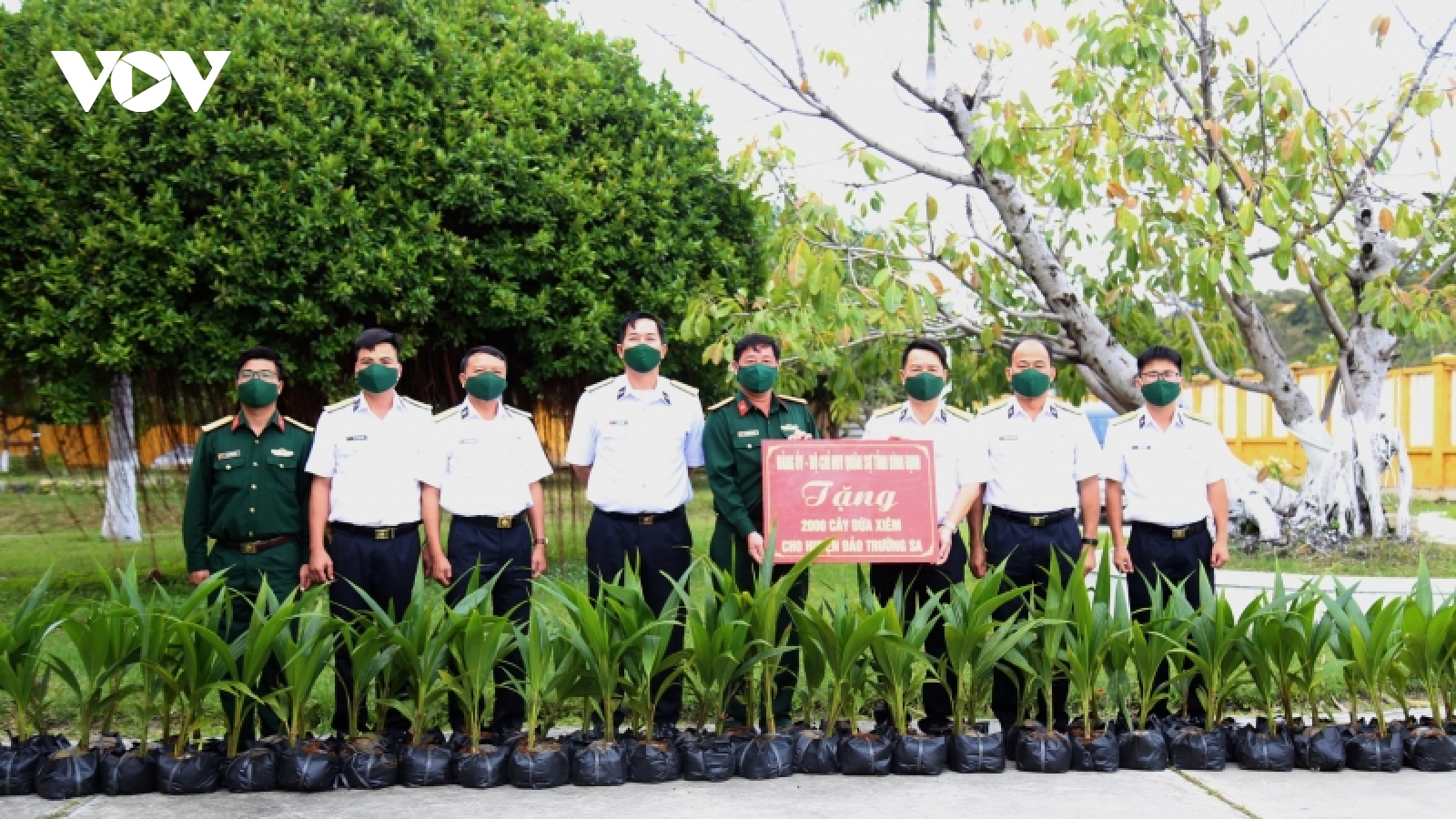 Sẽ có “Đường dừa Bình Định” ở Trường Sa