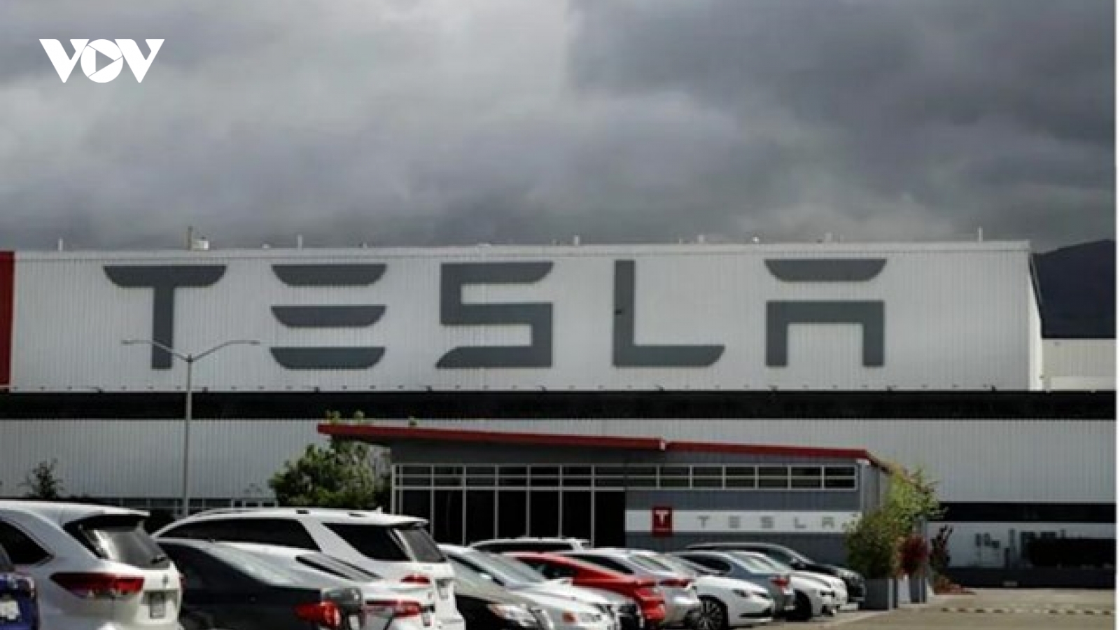 Ô tô điện Tesla ở Mỹ bị điều tra vì sự cố phanh ảo