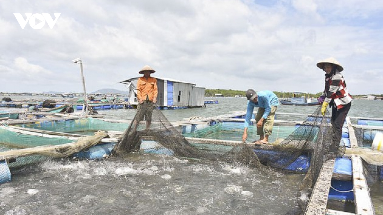 Vietnam aims for sustainable and responsible fishery by 2050