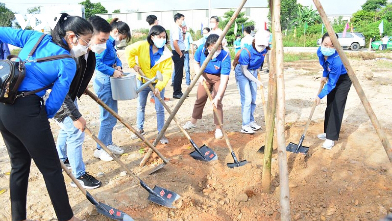 Đà Nẵng, ra quân “Tết trồng cây”