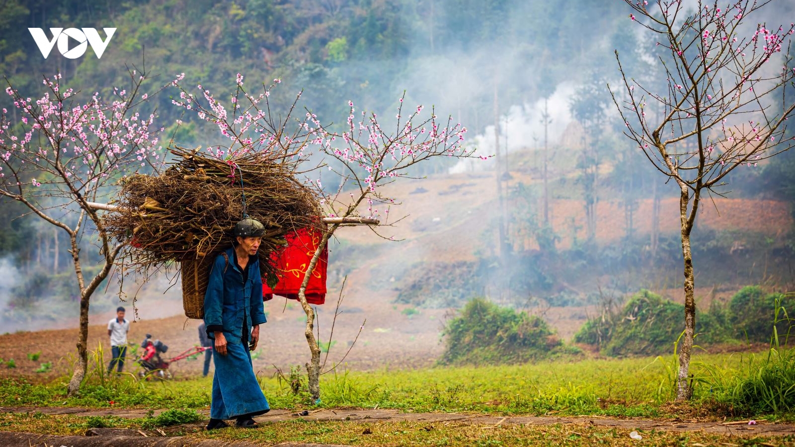 Sức sống trên Cao nguyên đá Đồng Văn