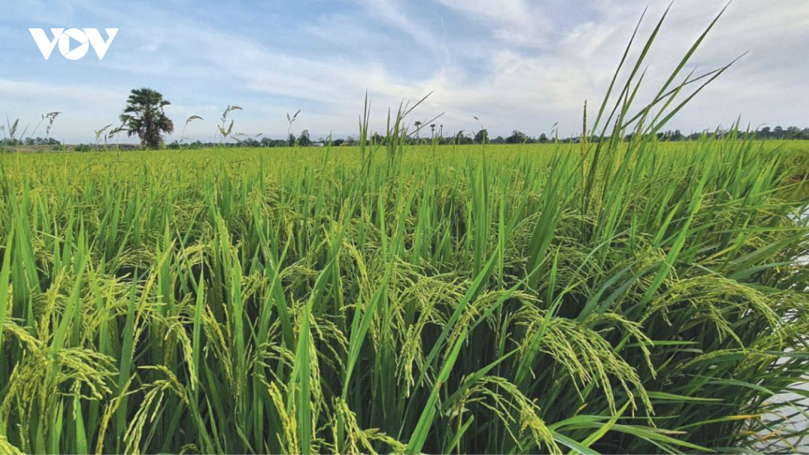 Câu chuyện sản xuất và làm giàu