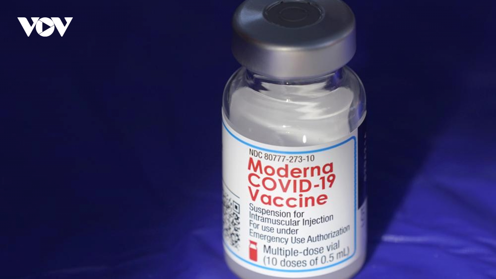 Moderna đề nghị FDA cấp phép mũi vaccine Covid-19 thứ tư cho người trưởng thành