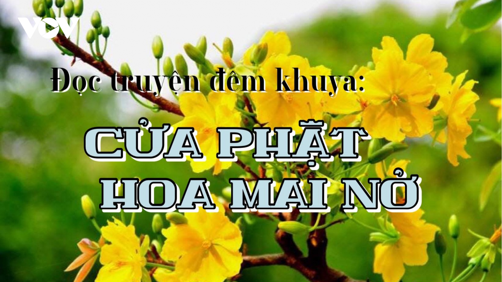 Truyện ngắn "Cửa Phật hoa mai nở" - Gieo nhân lành để nhận được quả lành