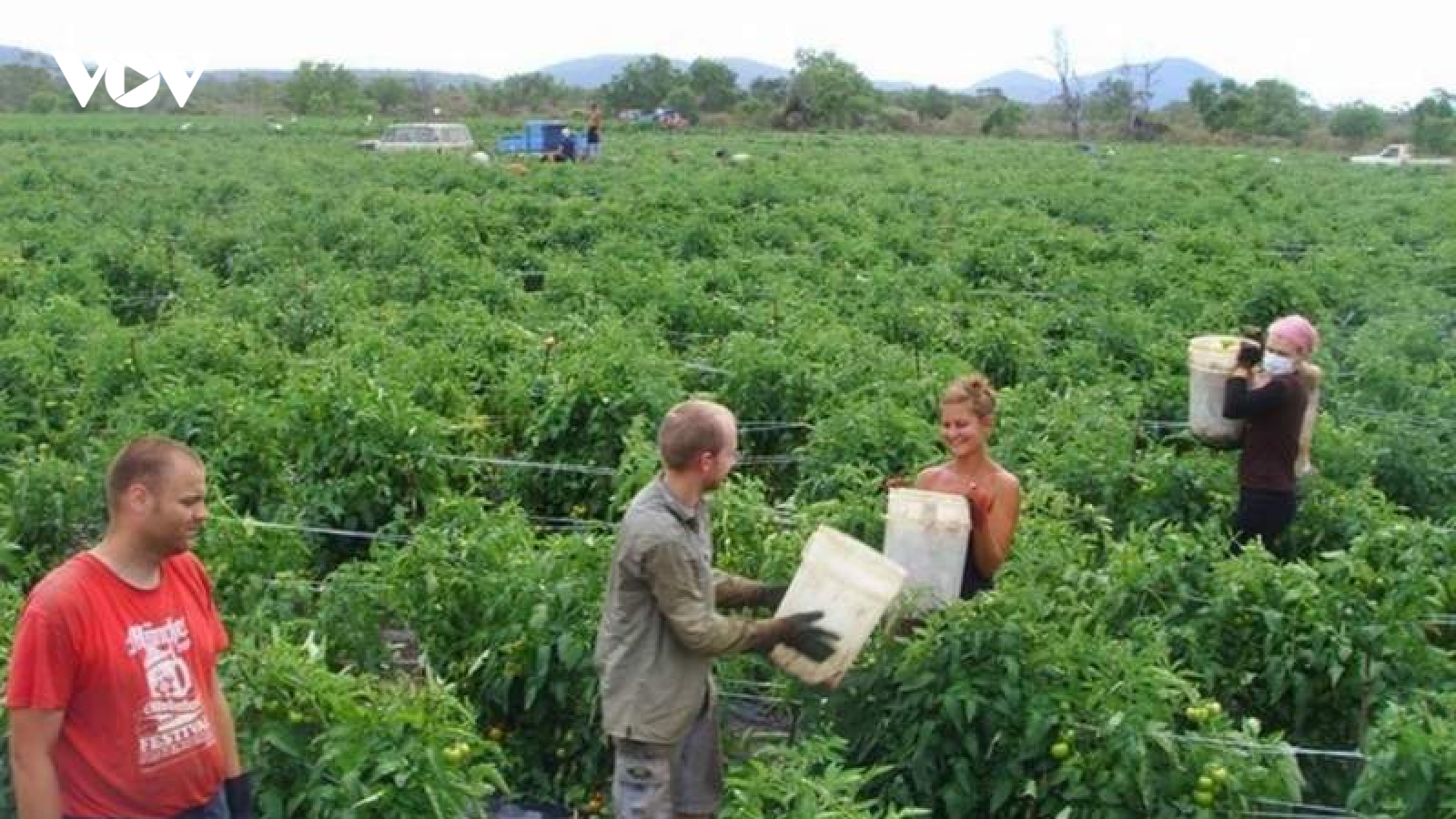 Một số điều cần biết về Chương trình thị thực nông nghiệp mà Australia vừa ký với Việt Nam
