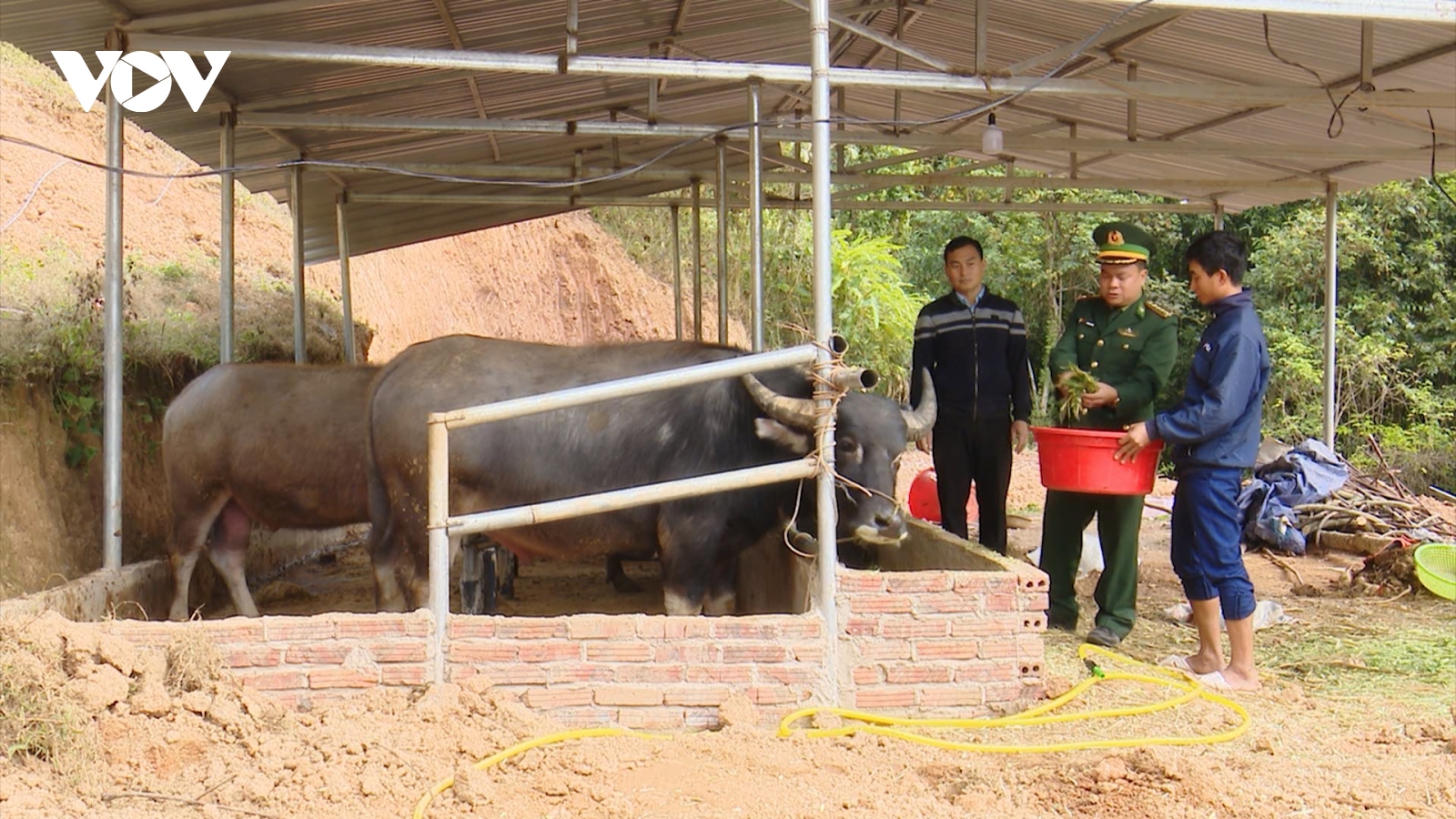 Người lính biên phòng hoàn thành trọng trách "3 vai"