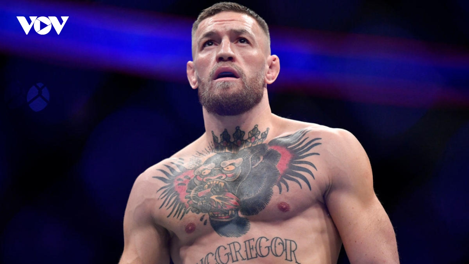 Conor McGregor cân nhắc mua lại Chelsea từ tỷ phú Abramovich