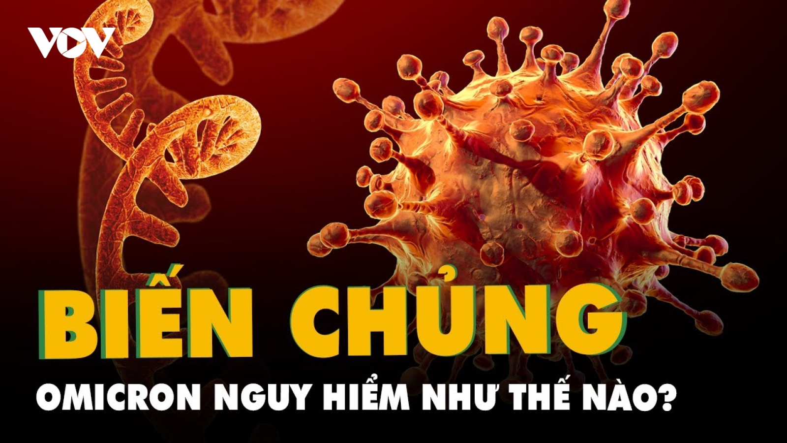 Người nhiễm Omicron có thể lây bệnh cho người khác trong 6 ngày