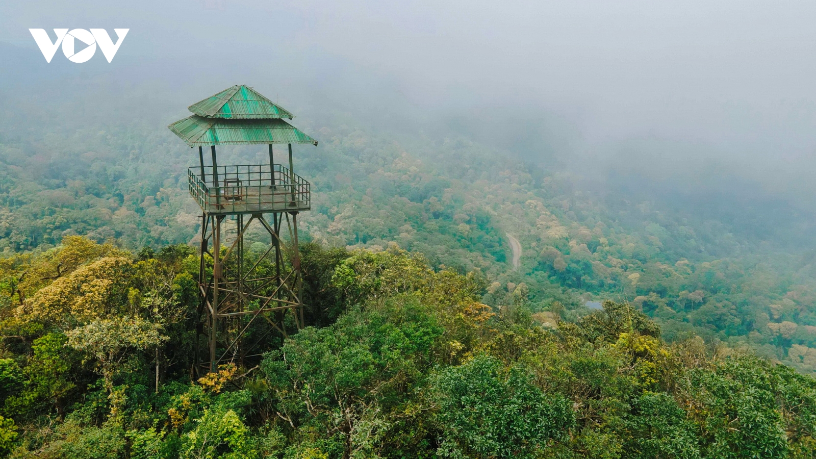 Lên đỉnh U Bò, ngắm rừng Phong Nha - Kẻ Bàng mùa thay lá