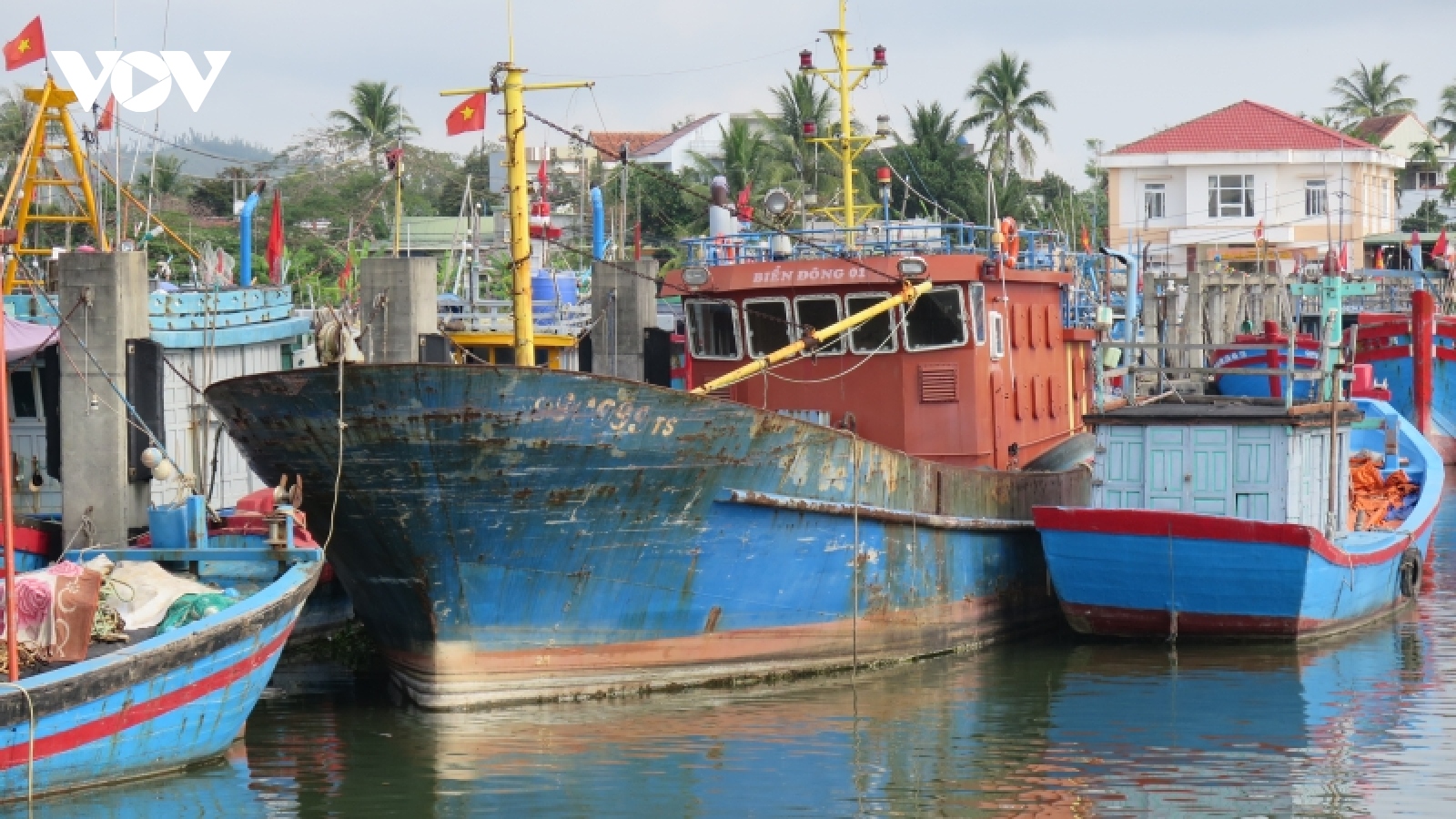 Vì sao Quảng Ngãi phải bán đấu giá tàu vỏ thép 67?