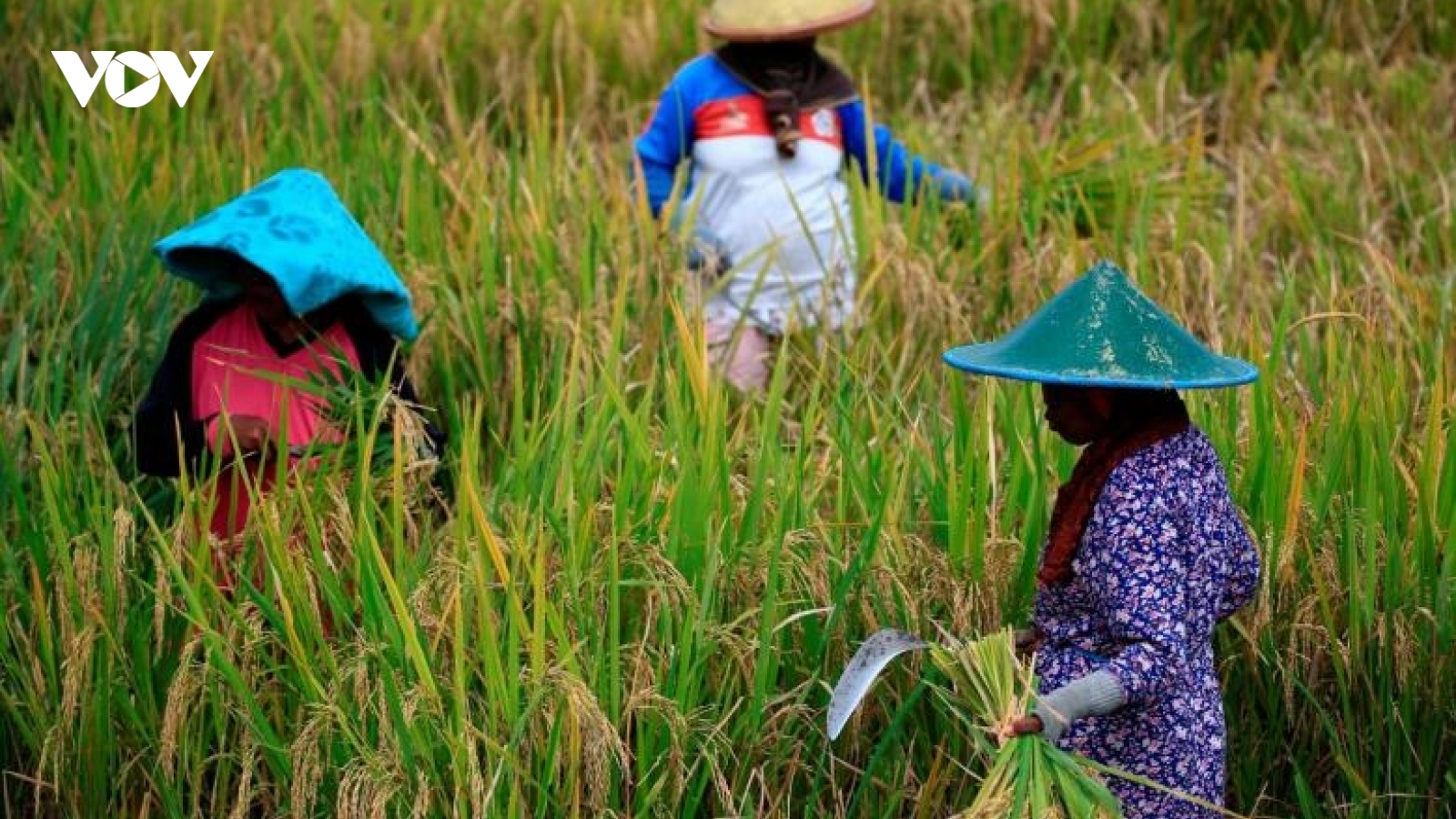 Thêm 4,7 triệu người ở Đông Nam Á rơi vào diện nghèo cùng cực vì Covid-19