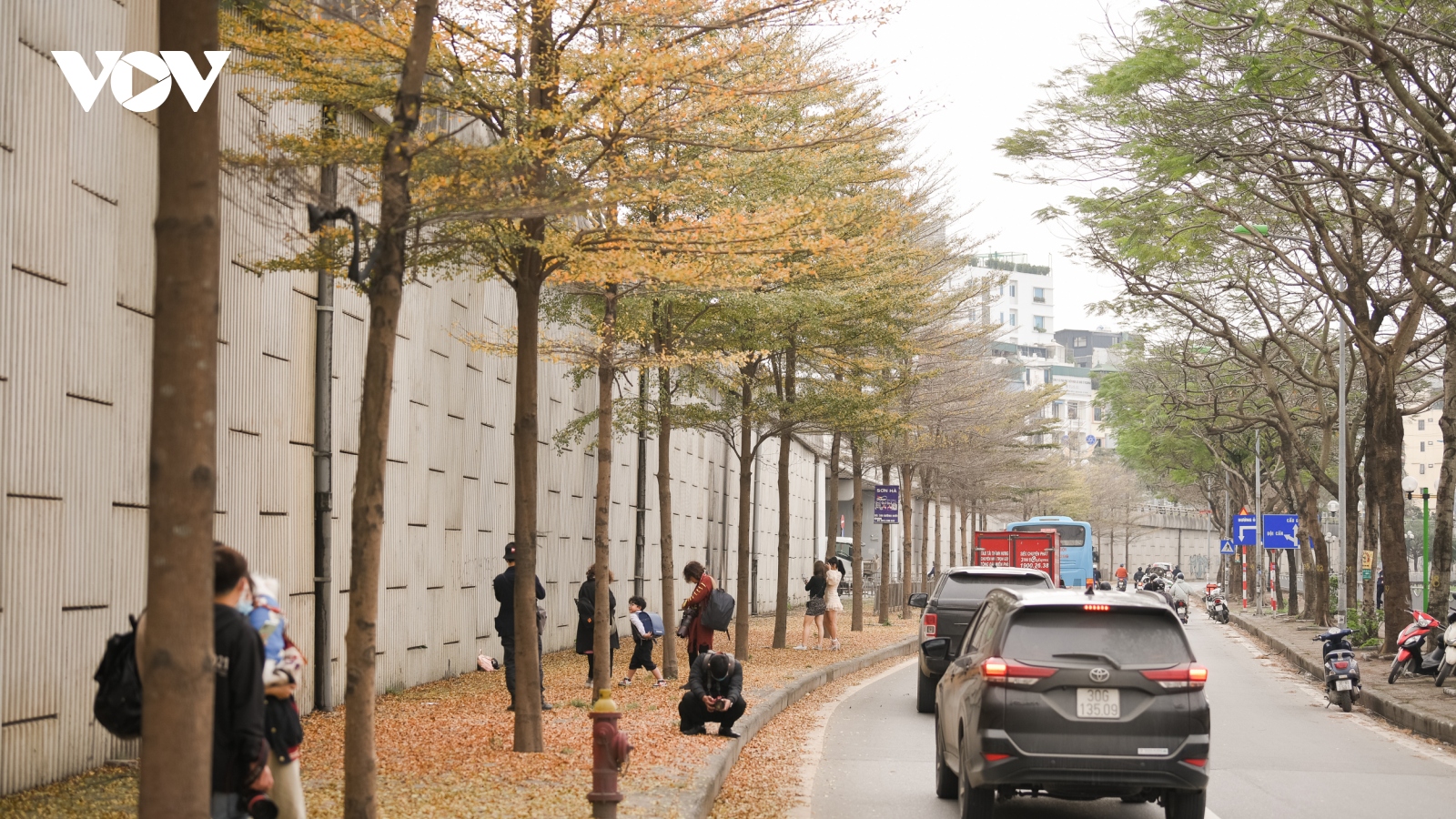 Mê mẩn với con đường lá vàng đẹp như phim Hàn Quốc ở Hà Nội