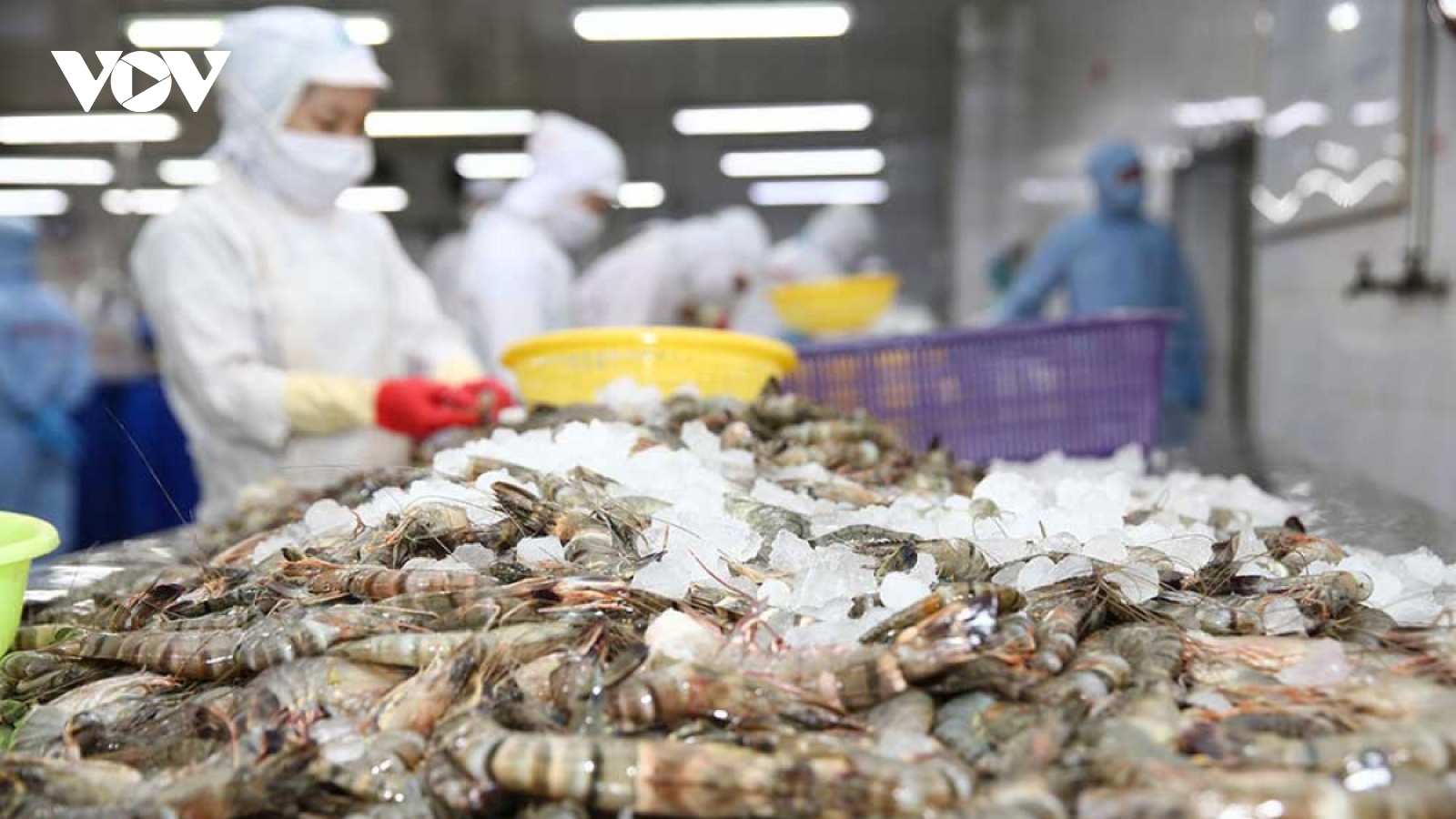 Shrimp exports set to hit over US$4 billion this year