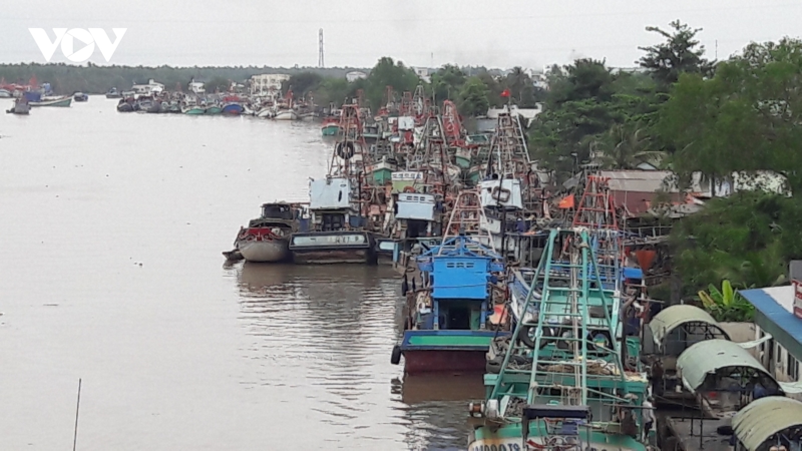 Hơn 900 tàu cá nằm bờ vì chi phí ra khơi đội gấp đôi