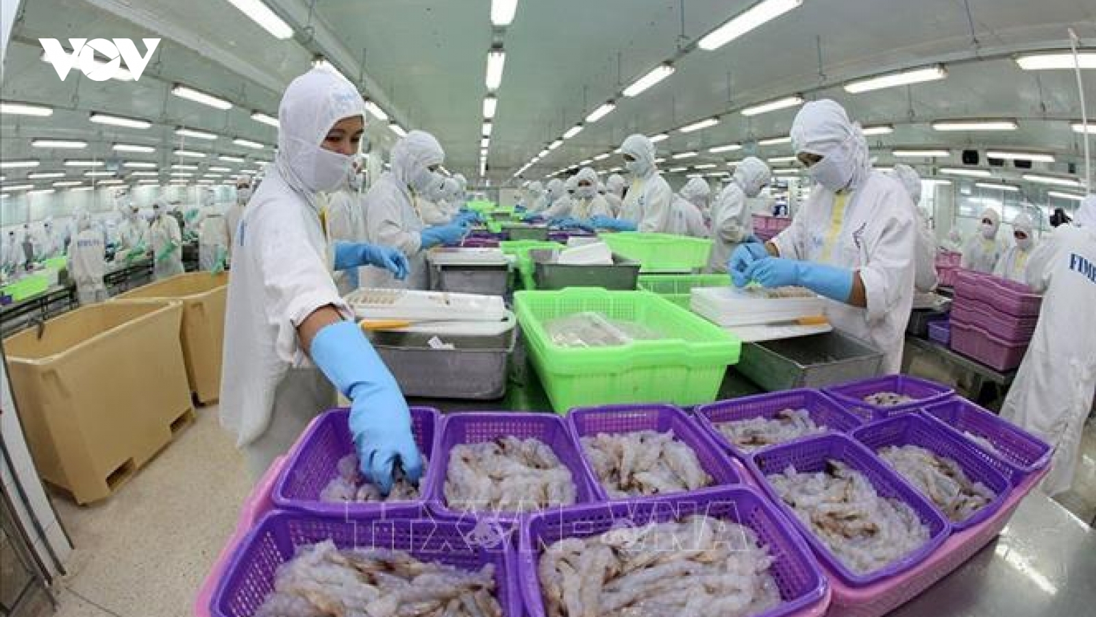 WB: Kinh tế Việt Nam tiếp tục phục hồi dù tăng trưởng có xu hướng giảm tốc
